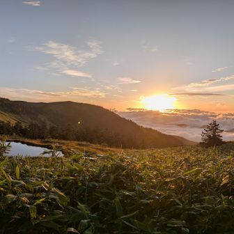 朝日に映える会津駒ヶ岳と中門岳。う、美しい…