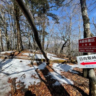 黒岳から日向坂峠、そして釈迦ヶ岳方面へ。いつか行こう。