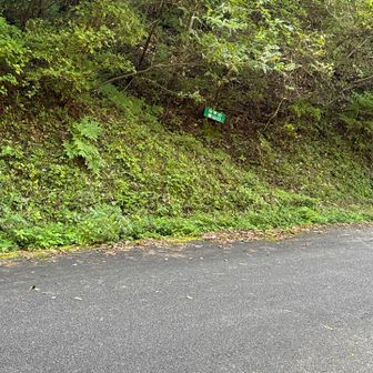 こっち側から出て林道を渡って向こう側へ
向こうに見える緑の案内ﾌﾟﾚｰﾄからinして