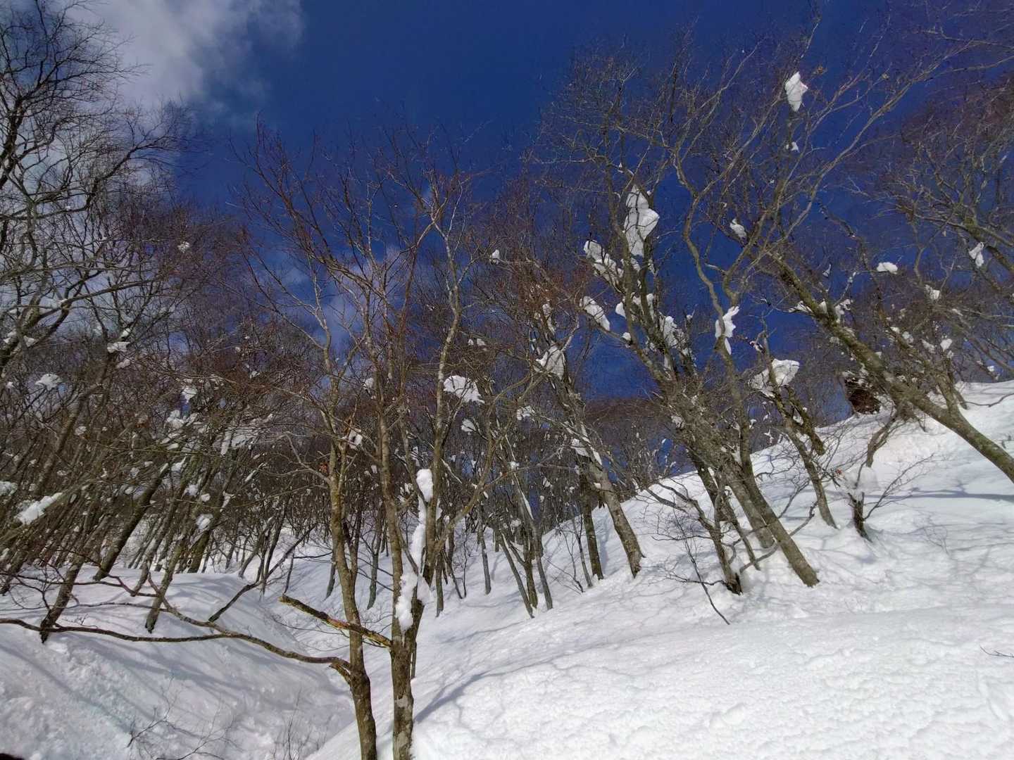 晴れ間が見えてきた🟦
冬の空気はやっぱりいいな😊