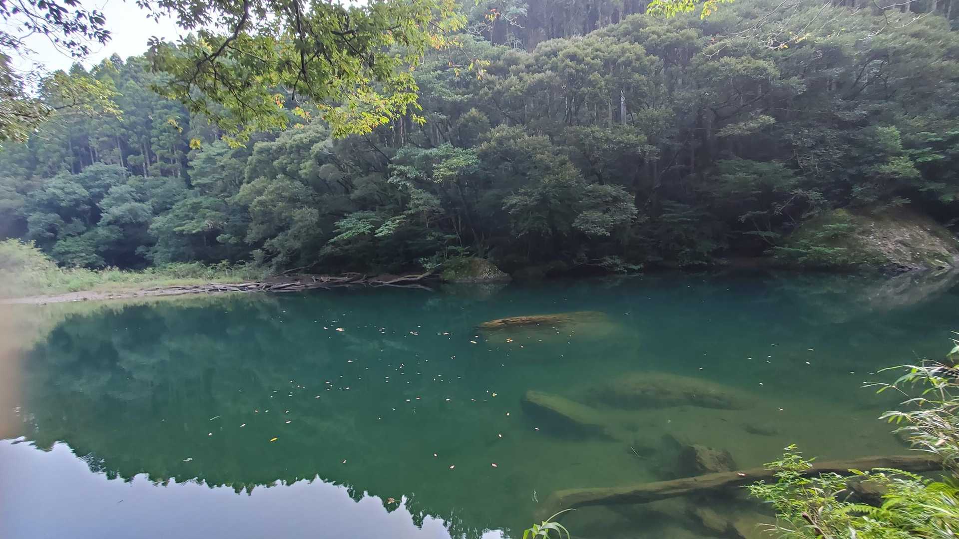 淵に出ました