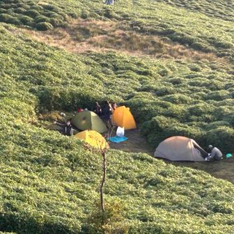 テント場はこのスペースのみ🏕️
でも良い😍