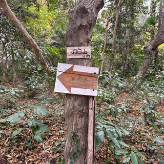 あっという間に羽白山