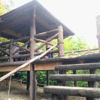 展望台には先客がおられたので一瞬だけ上がりました。