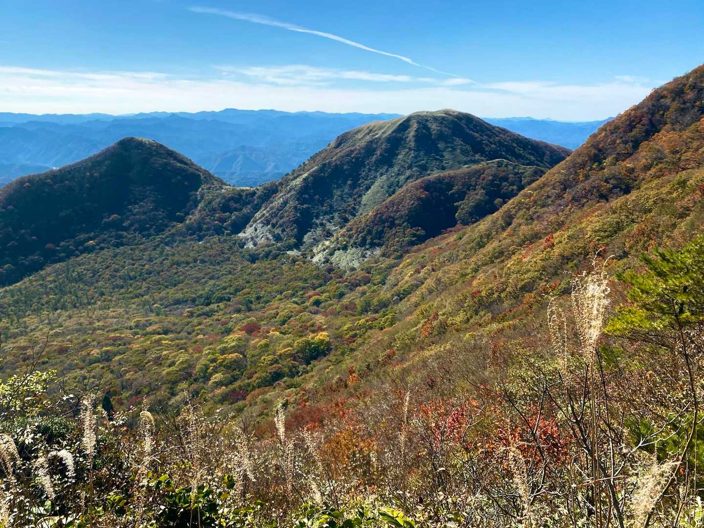 秋に来たかったんだよなぁ。
天気が良い日に来れて良かったなぁ。