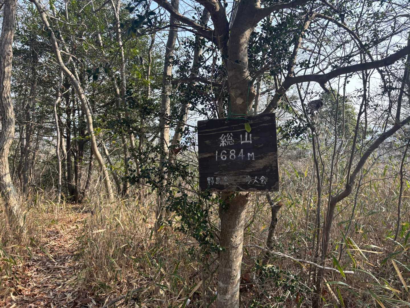 総山プレート