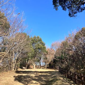 山頂⛰️まで　80mくらい🏃💦