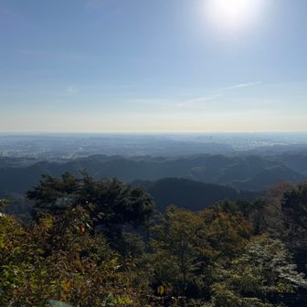 久々にいい天気の高尾