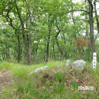 根羽城跡