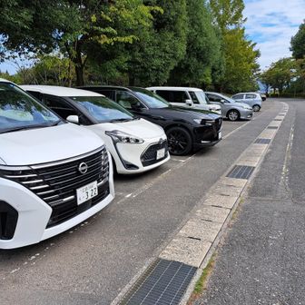 平日の午後なので、駐車場はがらがら