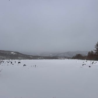戻ってきたぞー！！
下山すると待っていてくれたかの様に雪が降り始めました