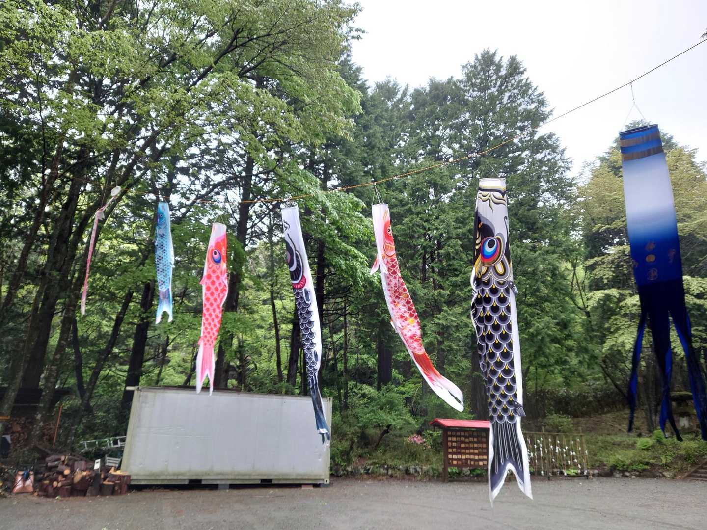 運動したくて金時山 / やまやまやまさんの箱根山・神山の活動データ | YAMAP / ヤマップ