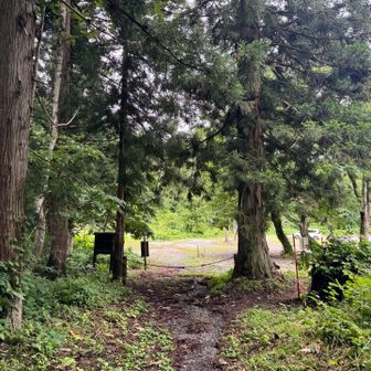 無事、登山口に戻ってきた！