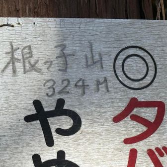 根っ子山⛰️アップ