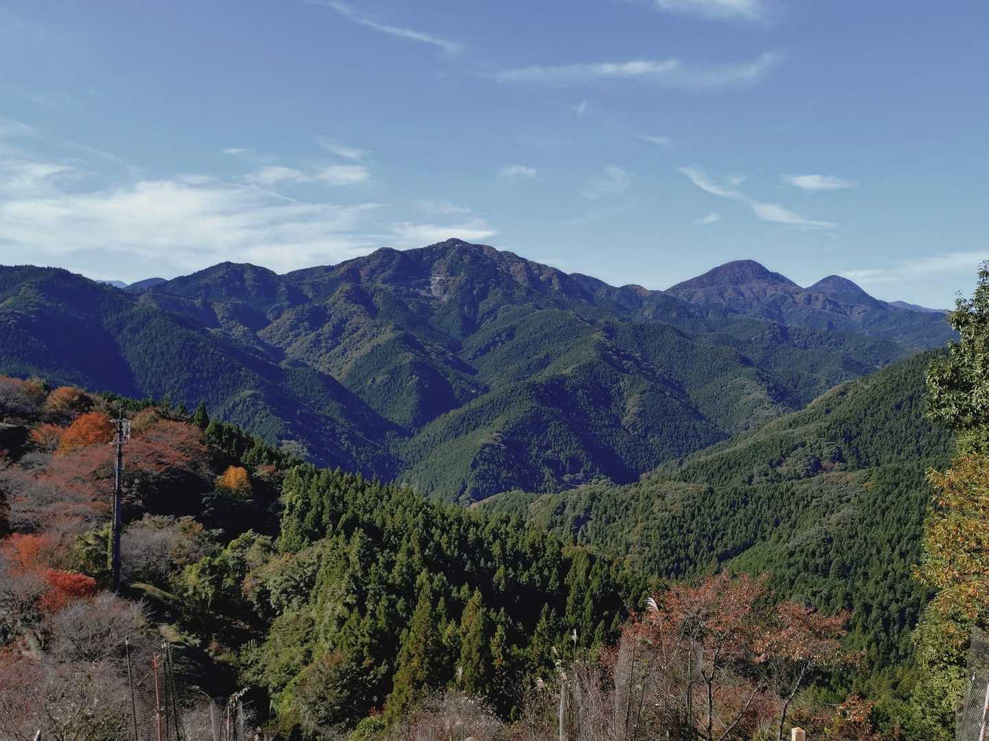 弁天山-桜山 往復コースの写真