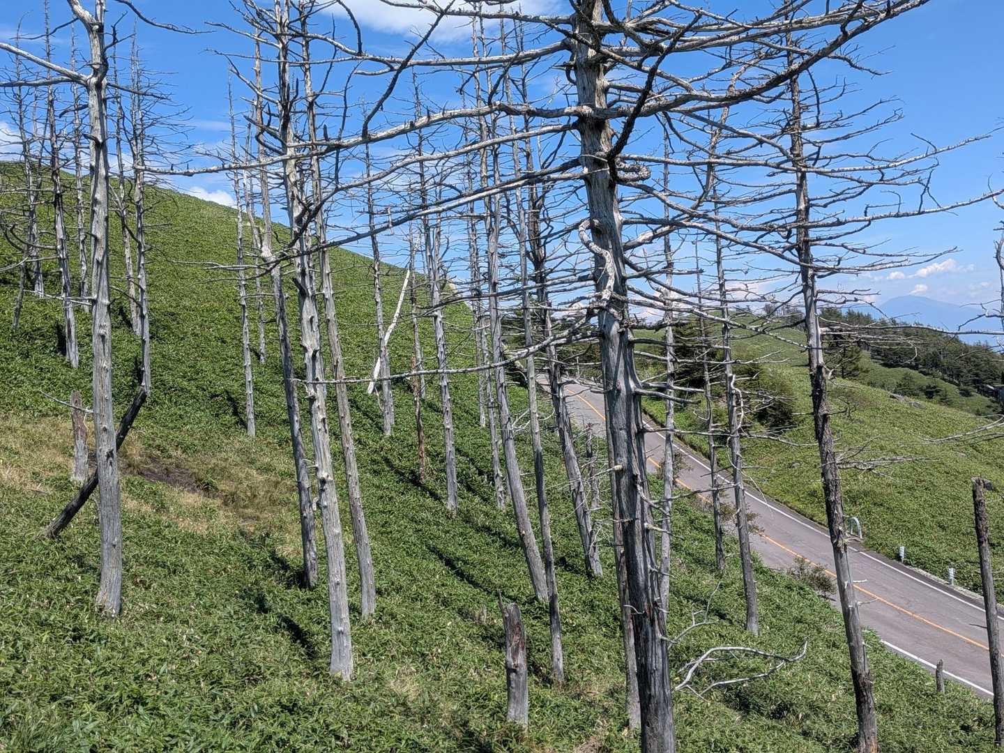 道路沿い(だいぶ高いけど)に登山道があります。