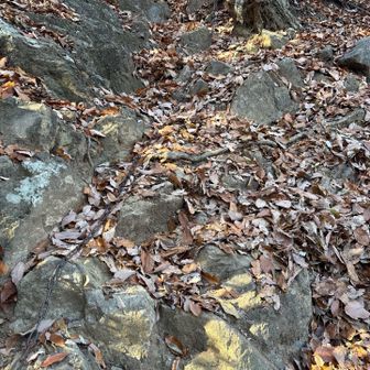 くさりを掴んでゆっくりと後ろ向きで降りた。グローブが鉄の匂いになった。