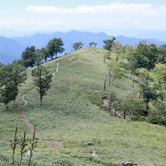この辺りの雰囲気が好きでした🥰背景の山の凸凹がいいよね⛰️