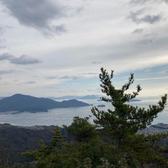 牡蠣筏が厳島合戦の戦舟に見えて夢想中