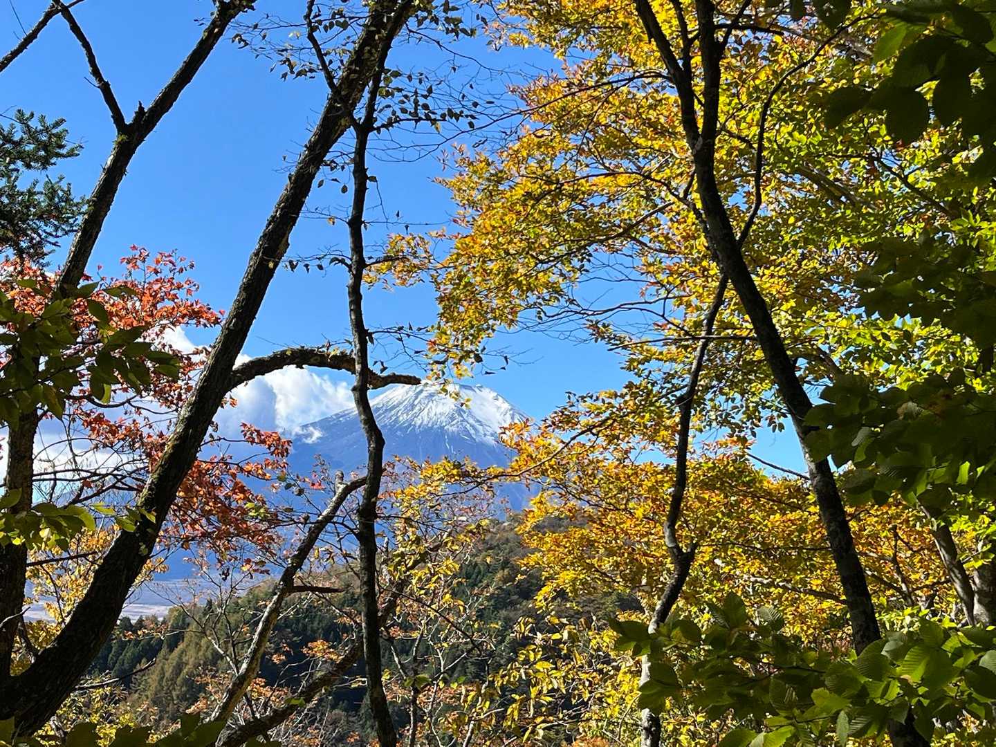 石割山（石割神社駐車場）の写真