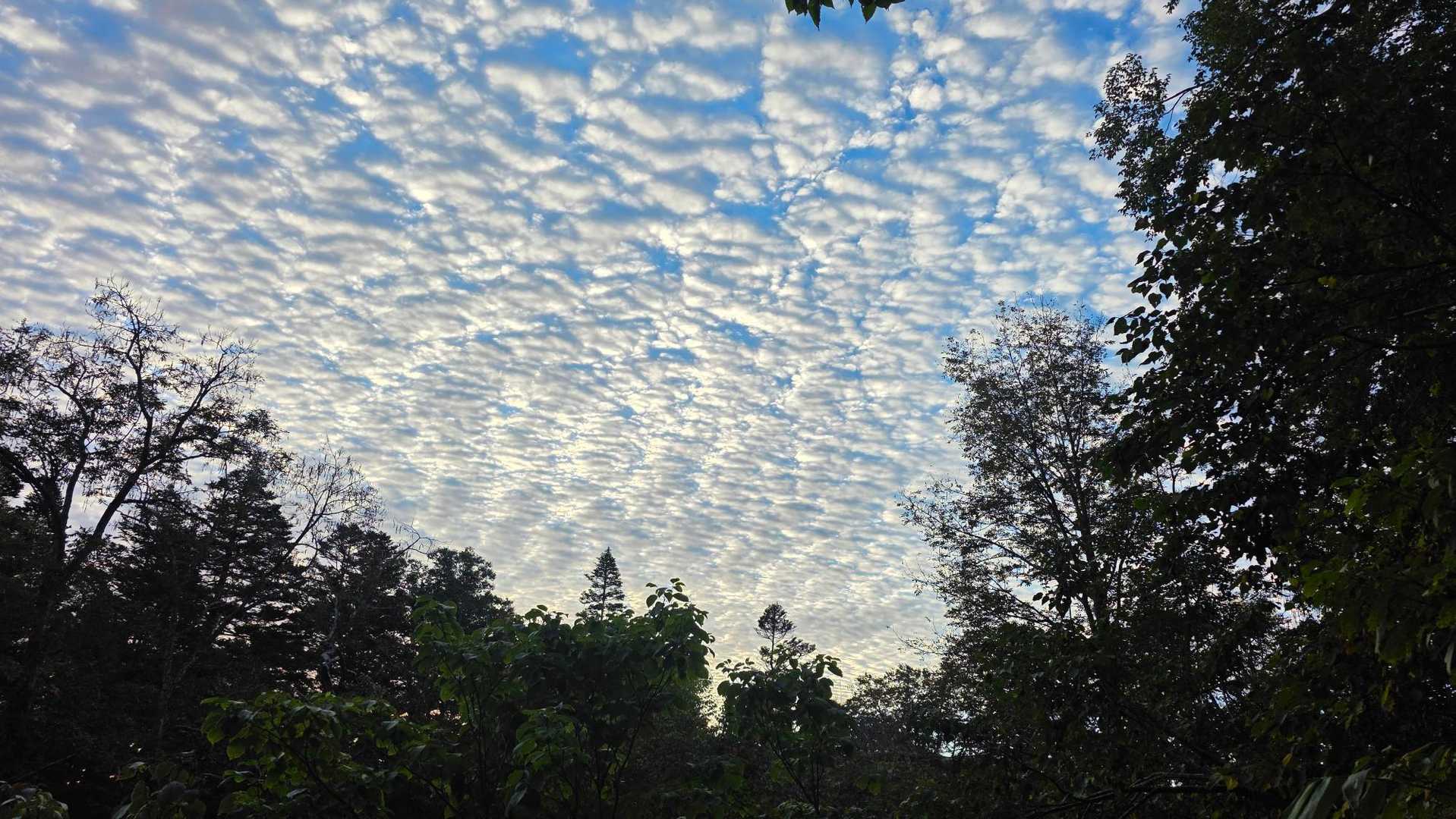 天気良し☀️