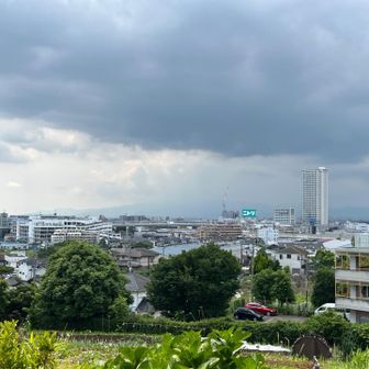 だいぶ雲行きが怪しくなってきたので撤退