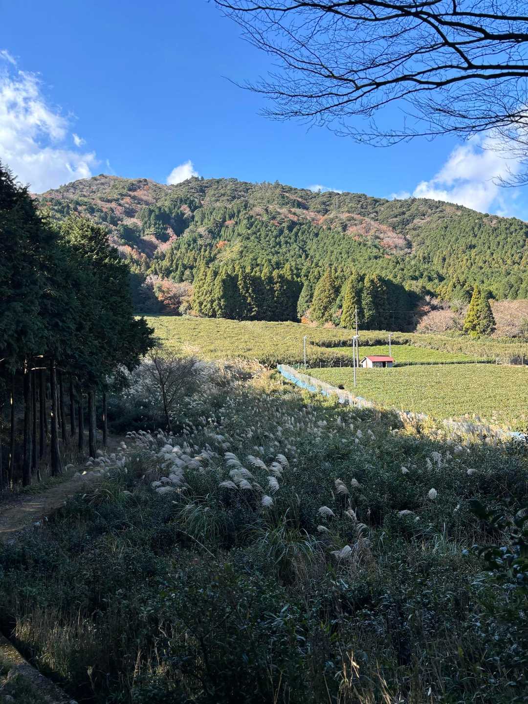 めちゃいい天気☀️風さえなければ。