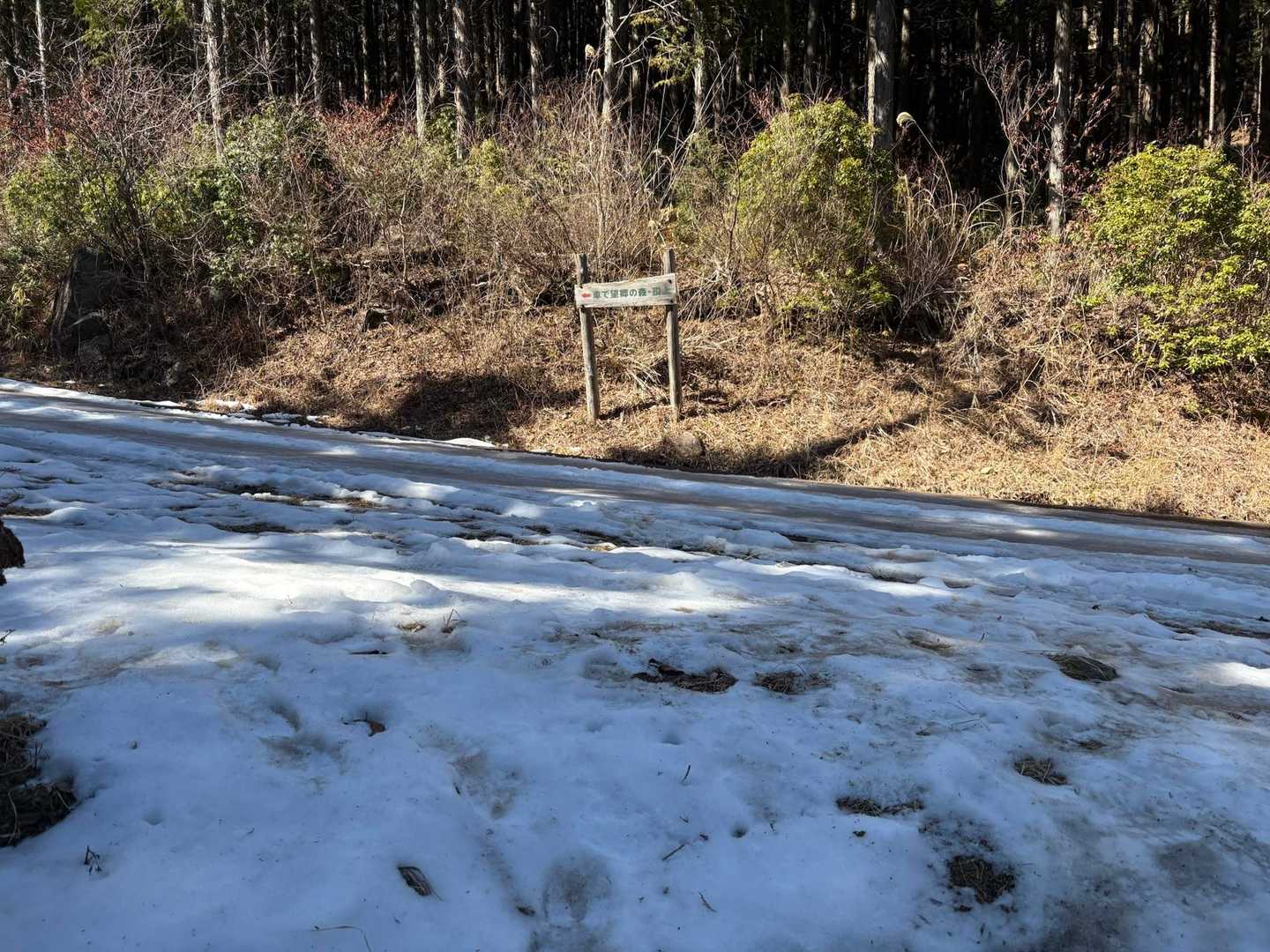 笠置山 往復コースの写真