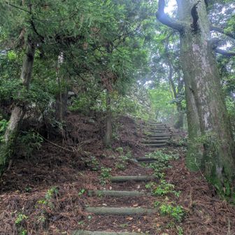 お久しぶりの山頂にある天津神社の石垣⛩️を写したつもりがあまり写ってないな😅