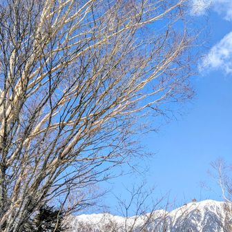 今年も行きたいな　行けるかな
想いを馳せる