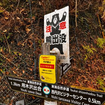 このツキの輪グマ　怖い…