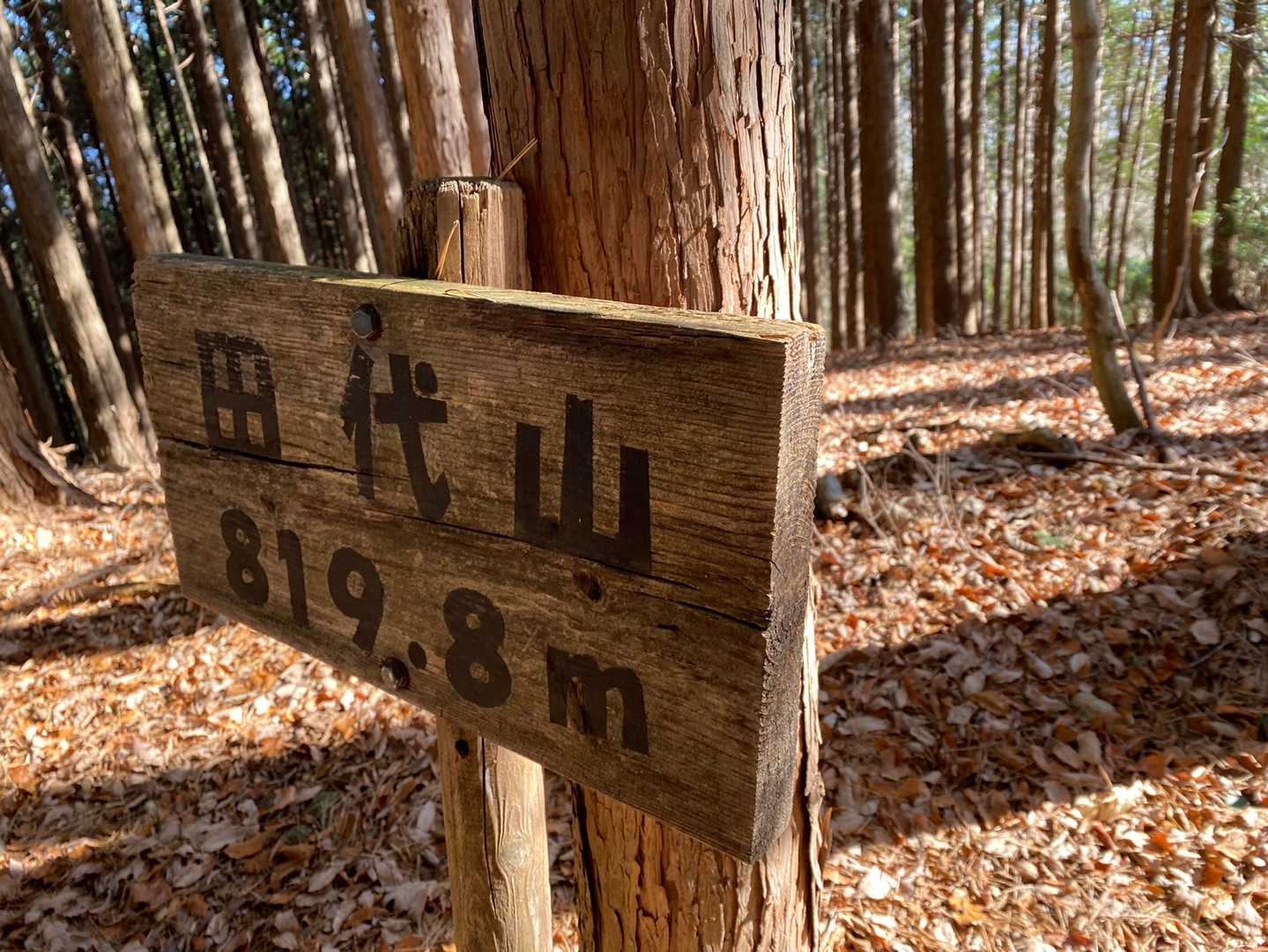 ついたー😆

4個目
田代山⛰