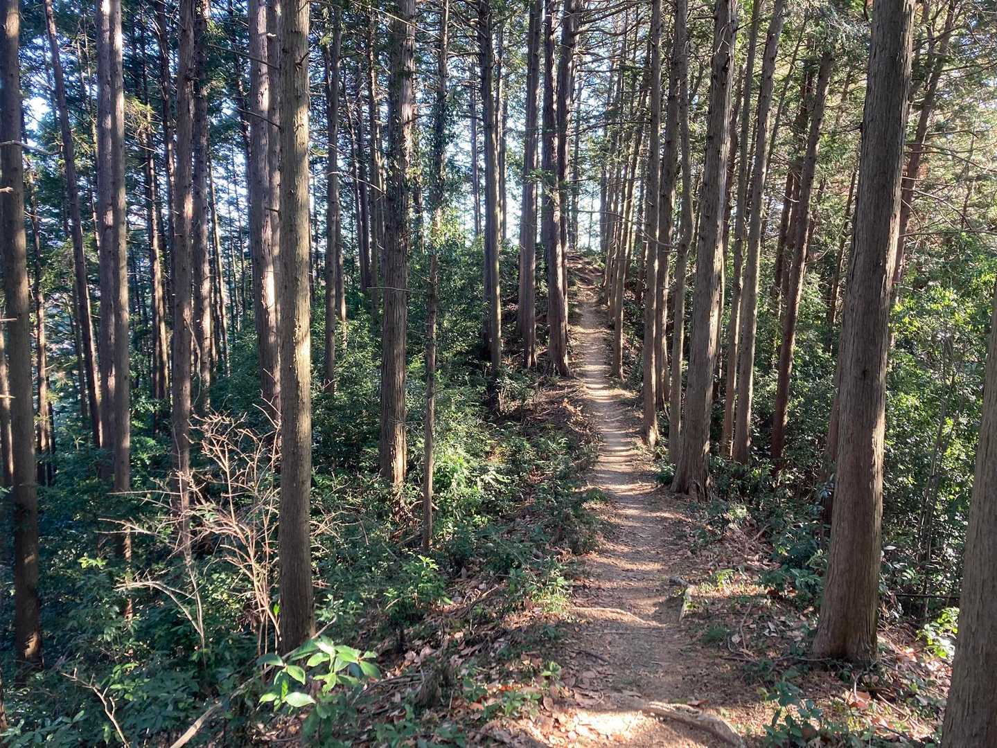 そうそう。楽しいよね。