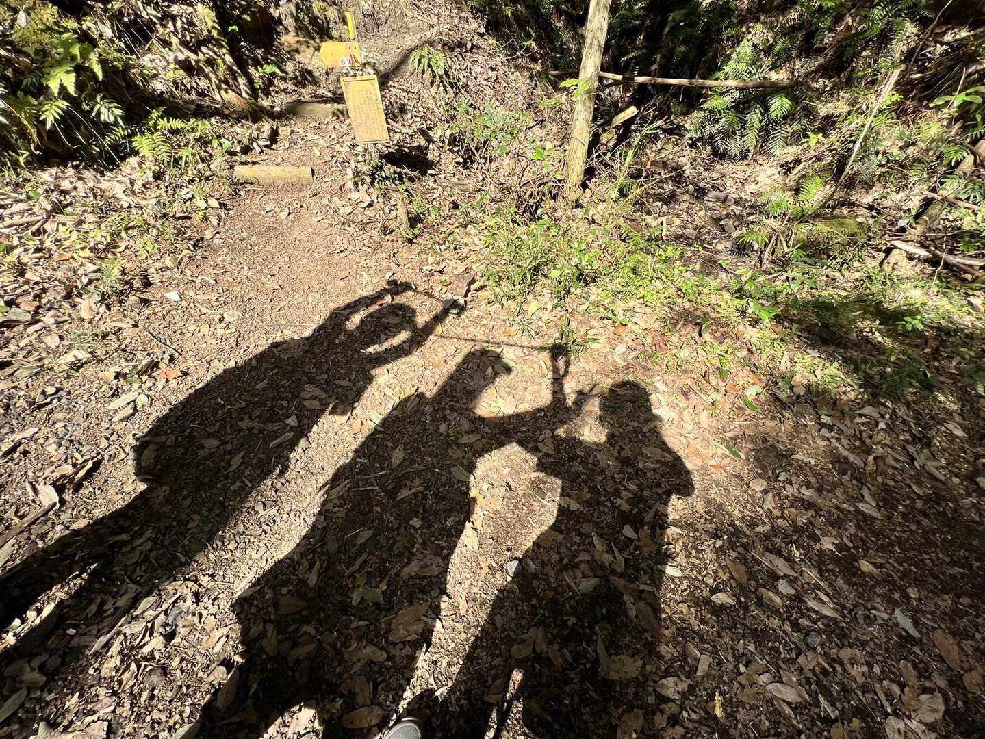 影ピ✌︎