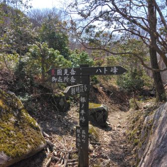 根の平峠から下山していきます