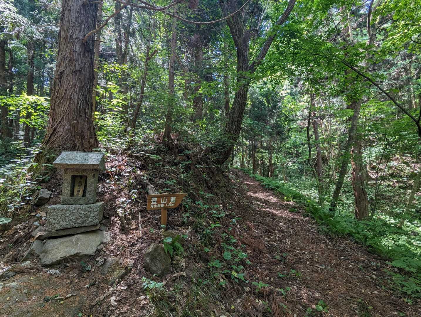月山経由で👉👉