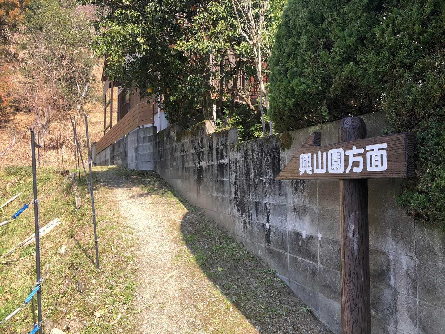 ここに出てきたよ、