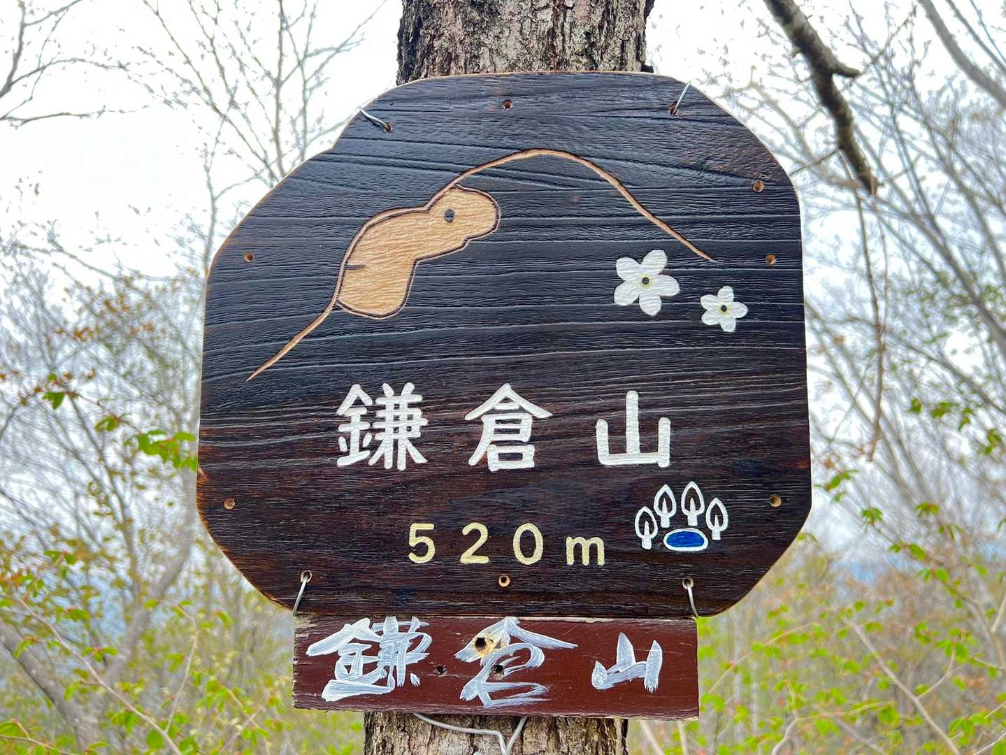 とっても素敵な看板が取り付けられました⤴️
ゴリラに、ニリンソウに、伝説天沼
鎌倉山の良い所が詰まってますね👍