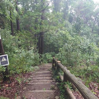 公園の下に向かう(主に階段で)