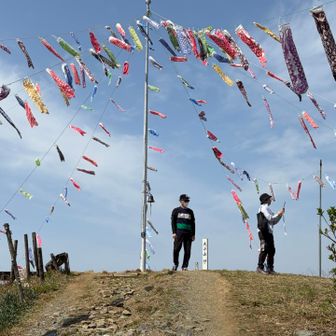 青空を元気に泳ぐ鯉のぼり🎏がいっぱい✨
大平山山頂まで登った人しか見れません🤭