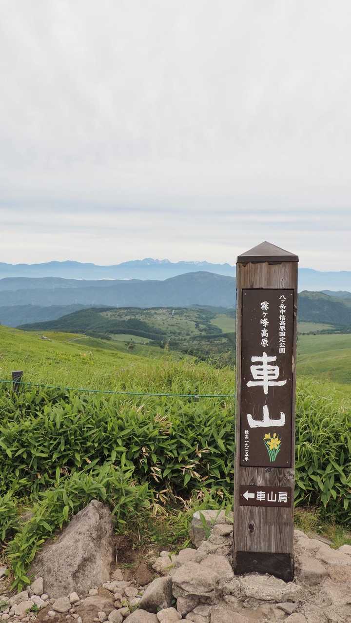 霧ヶ峰（車山・南の耳・北の耳・男女倉山）・八島湿原、高原周回ハイク の写真 5