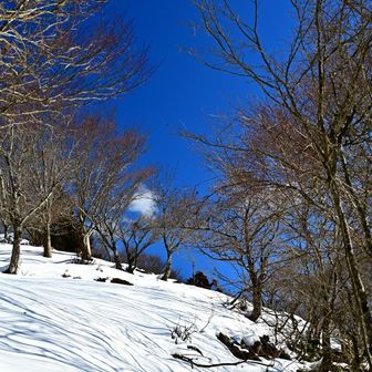 あら～雪の華が咲いてない💦
これだけ温いとしょうがないか😫

こうなりゃ沖縄まで寒気が南下すると言われる、激寒ギャグで華を咲かせましょう😁
