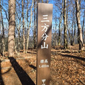 立派な標識がたくさん