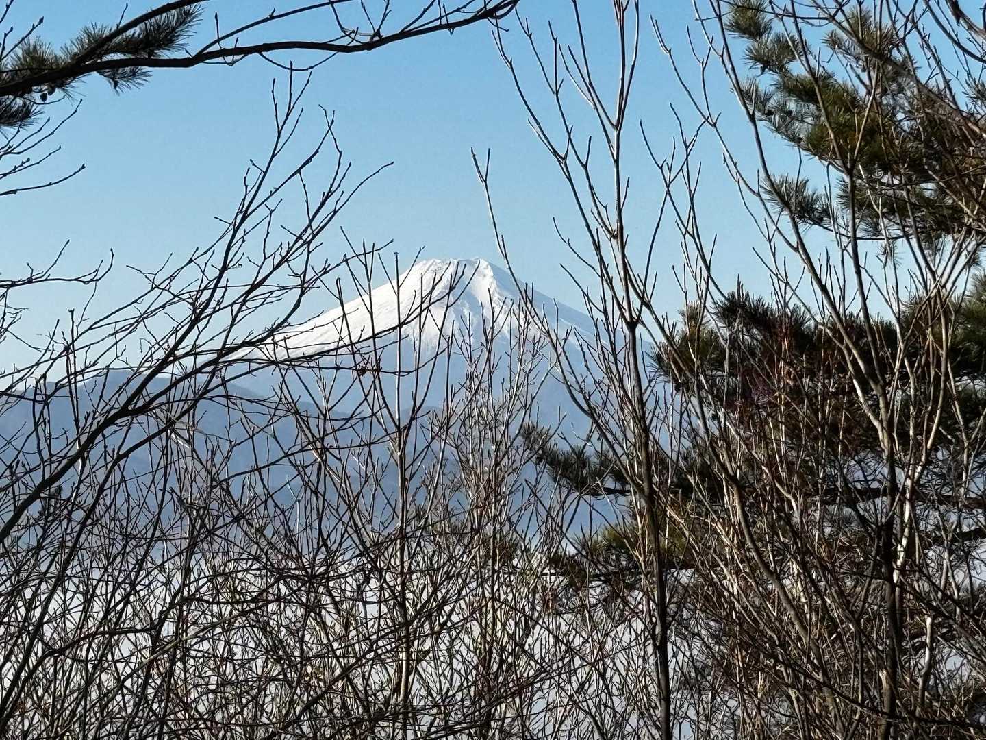 生藤山からの富士山は惜しい😅