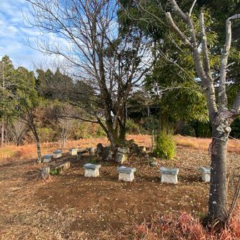 山頂に立派なベンチが増えてました
