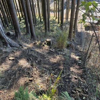 建物が見えてきました。