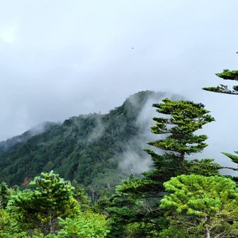 おそらくあれがグレピの｢前女峰｣😳✨️
行きたいけど…
今回は雨と雷のリスクがあるので我慢😣