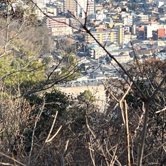 🅿️が見えました