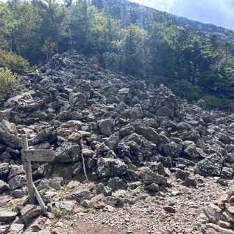 仙水峠まで降りてきた