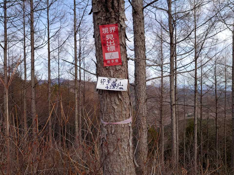 卯子酉山🗻山頂到着❗